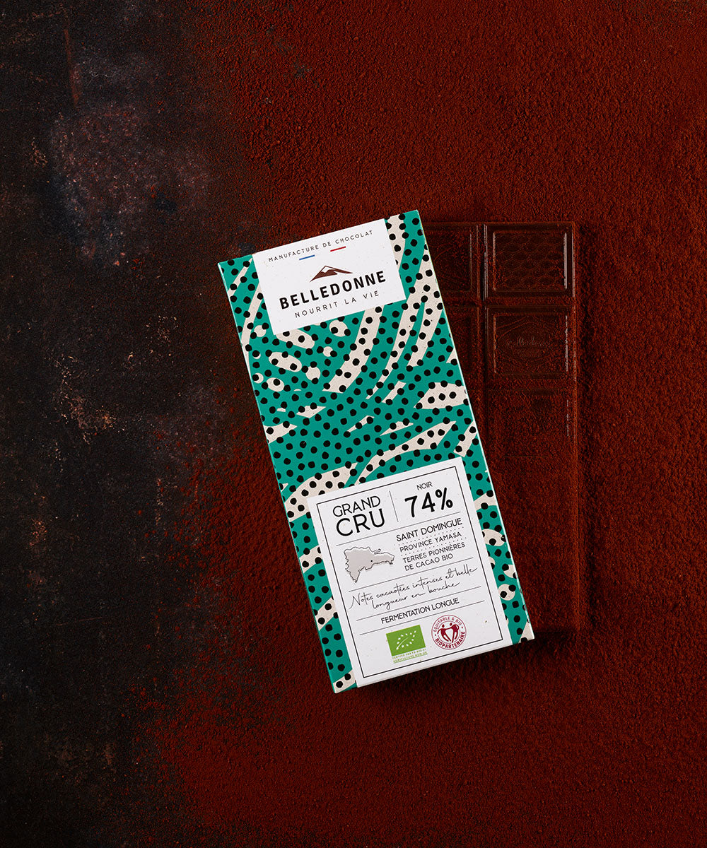 Tablette noir 74% st domingue bio - 2