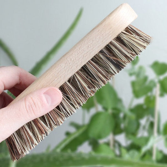 My Boo Company -- Brosse de ménage à récurer en bois, fibres extra-dures